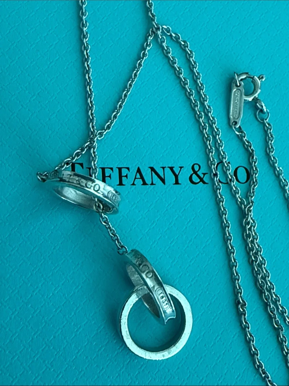 1837 Tiffany & Co. Interlocking Rings Lariat Necklace